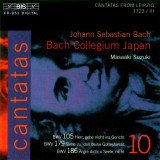 Cantata: Ärgre dich, o Seele, nicht: IX. Recitative (alto) - Nun mag die Welt 