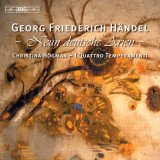 Sonate c-moll: Allegro II