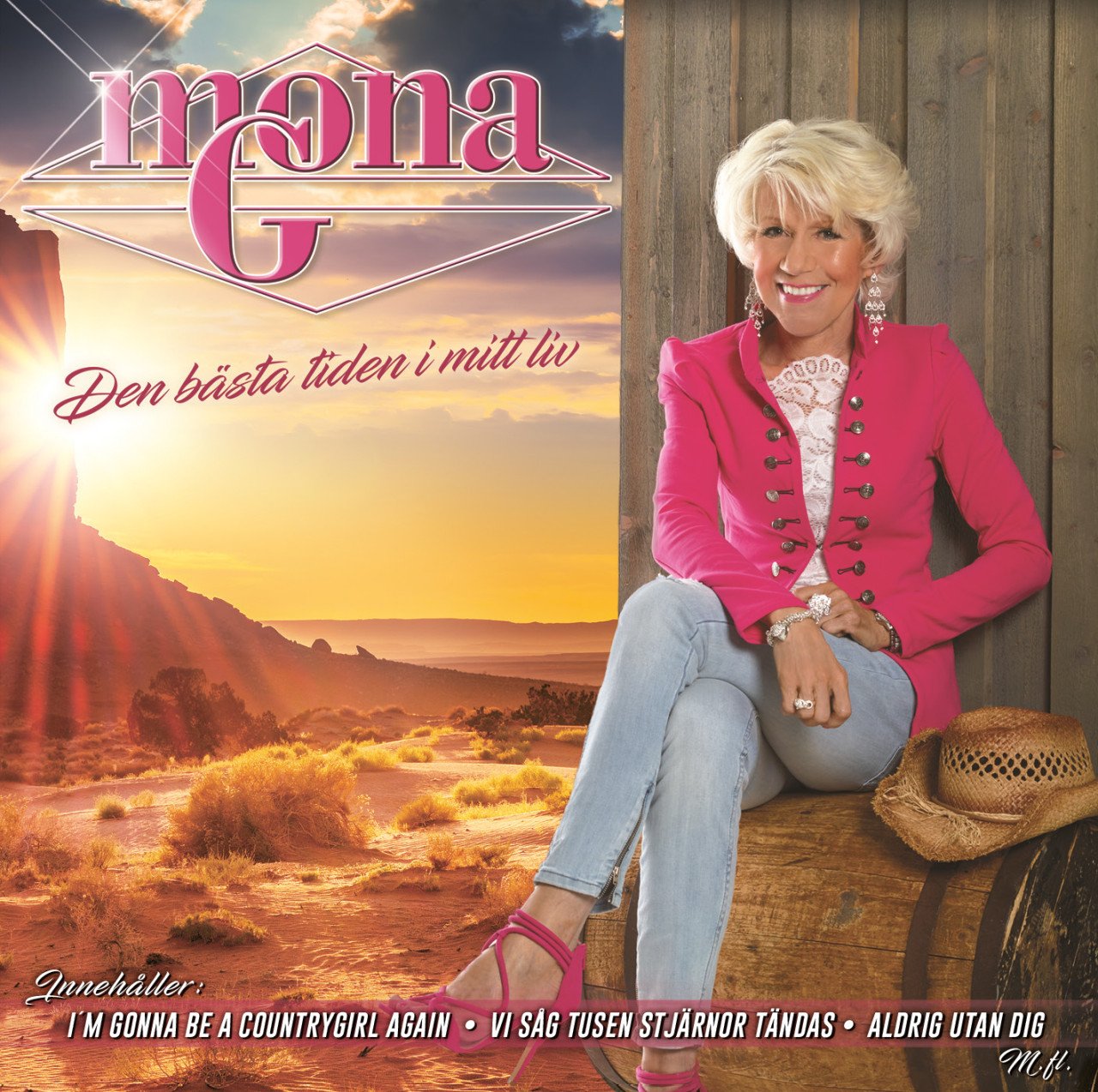 Vi såg tusen stjärnor tändas