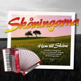 En hyresrätt i Allingsås