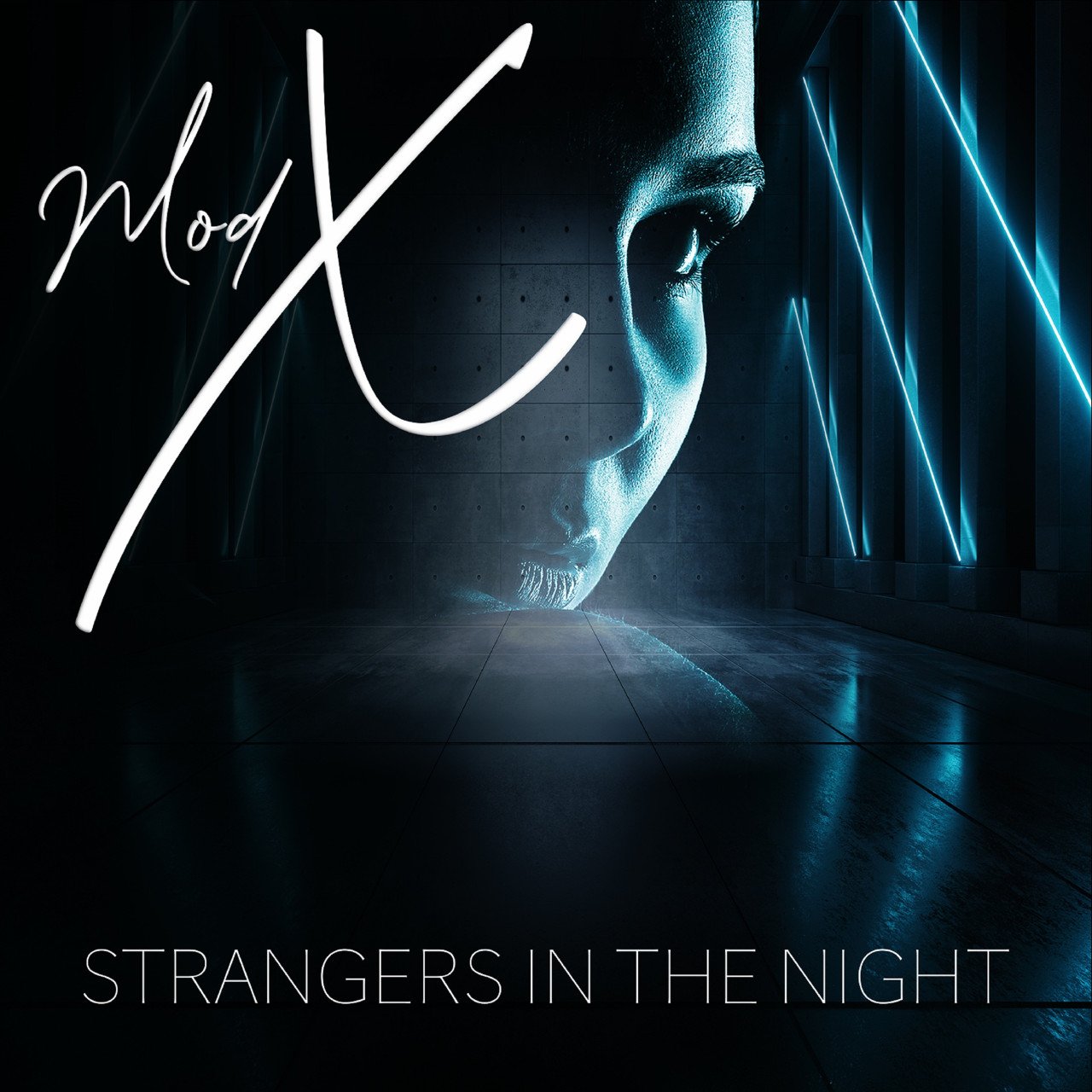 Strangers In The Night