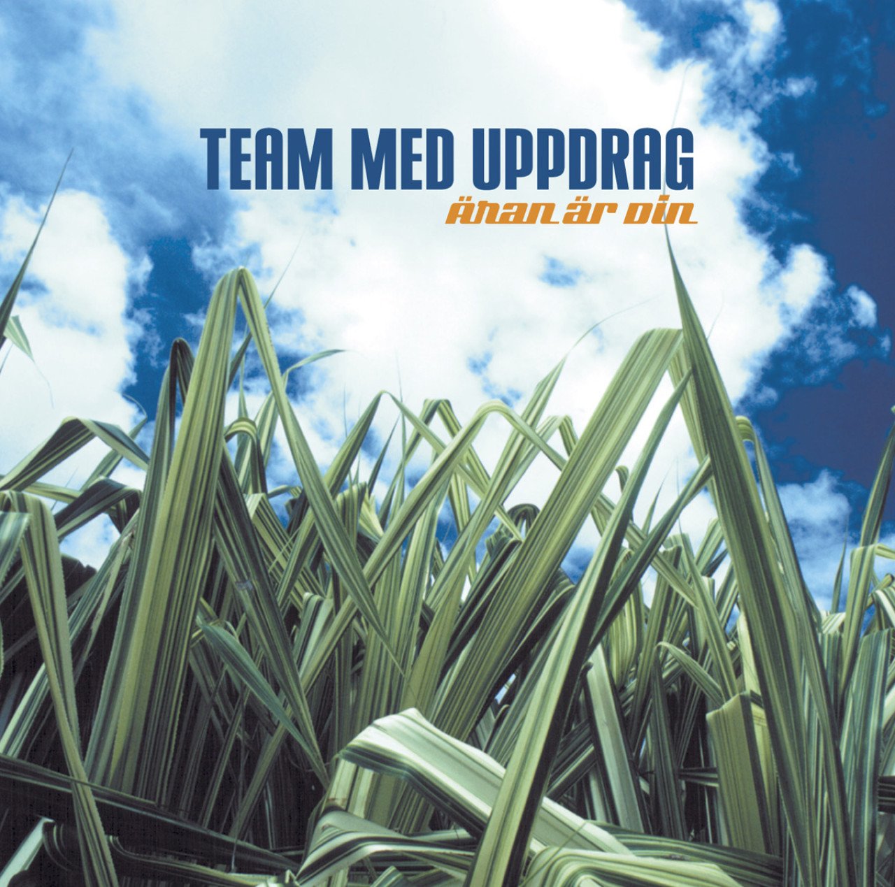 Jag kastar mig på Dig