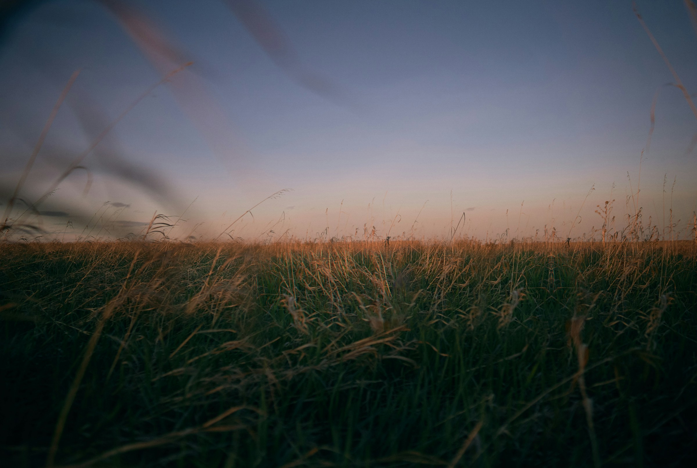 Mellow featured