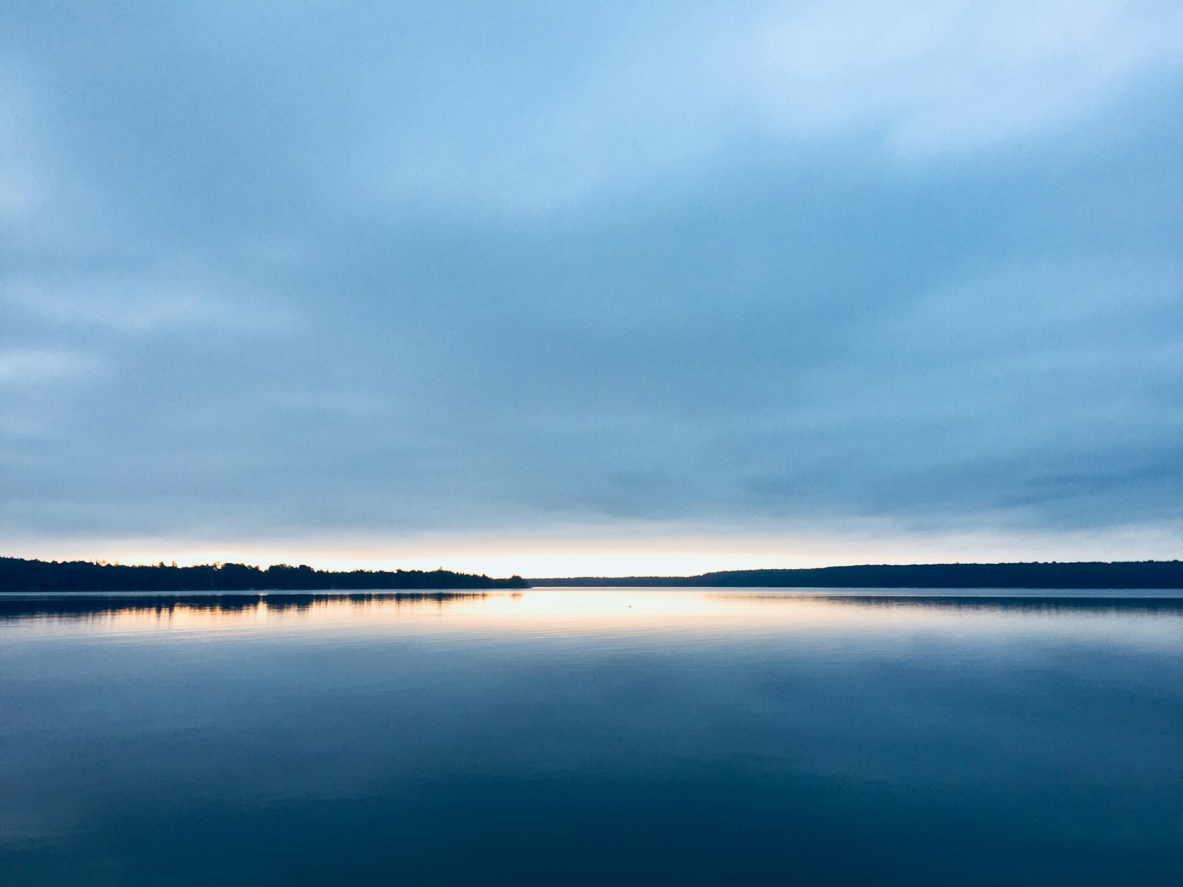 Reflective featured