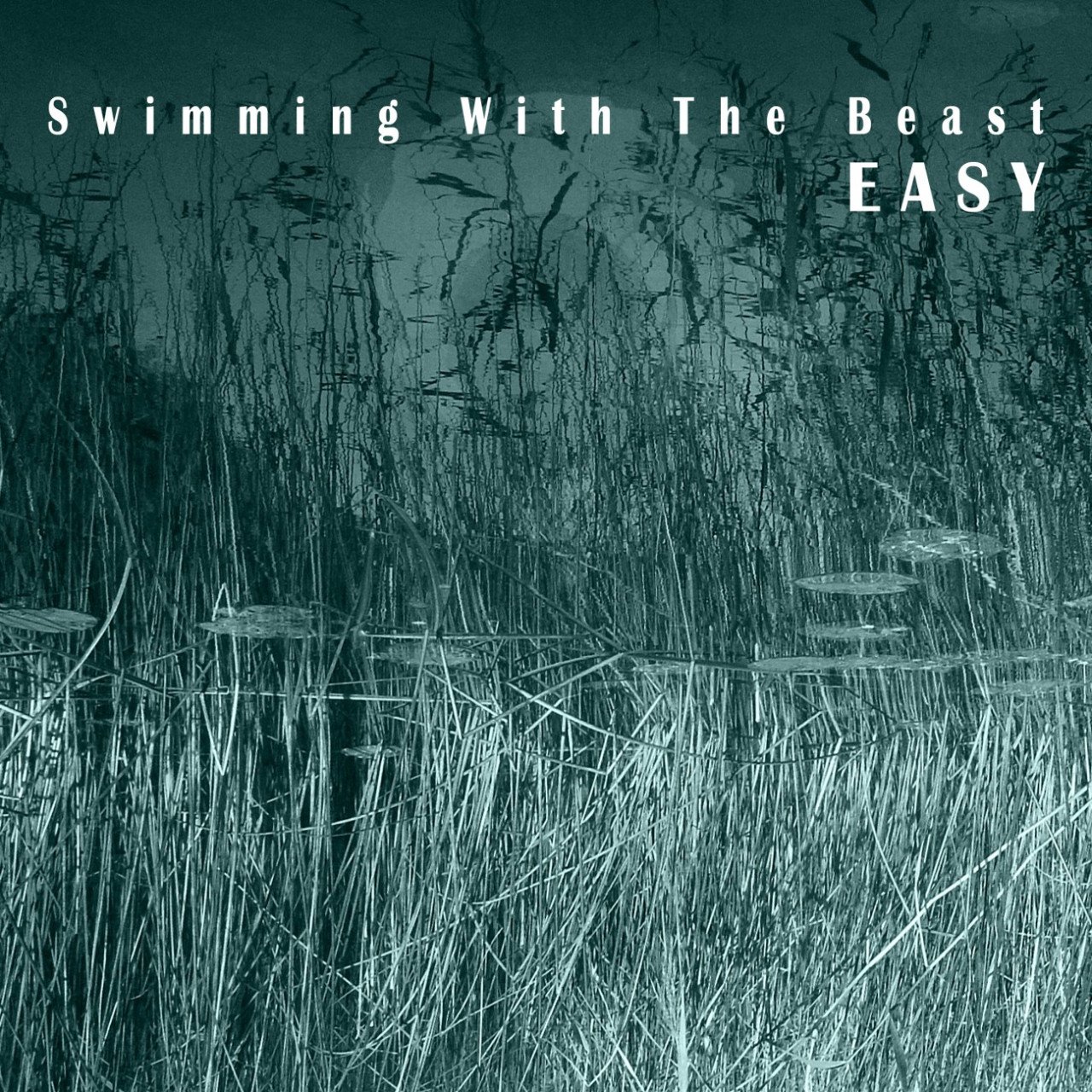 Swimming With the Beast