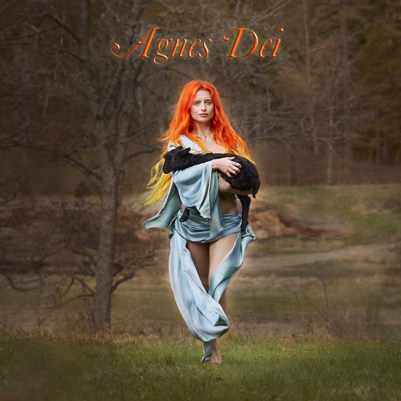 Counting My Blessings