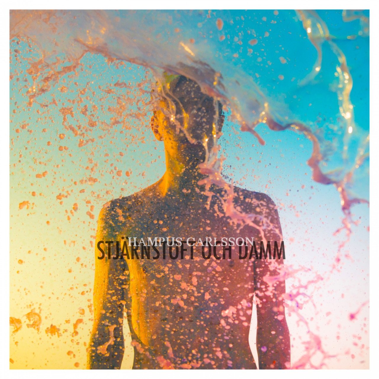 Stjärnstoft och Damm