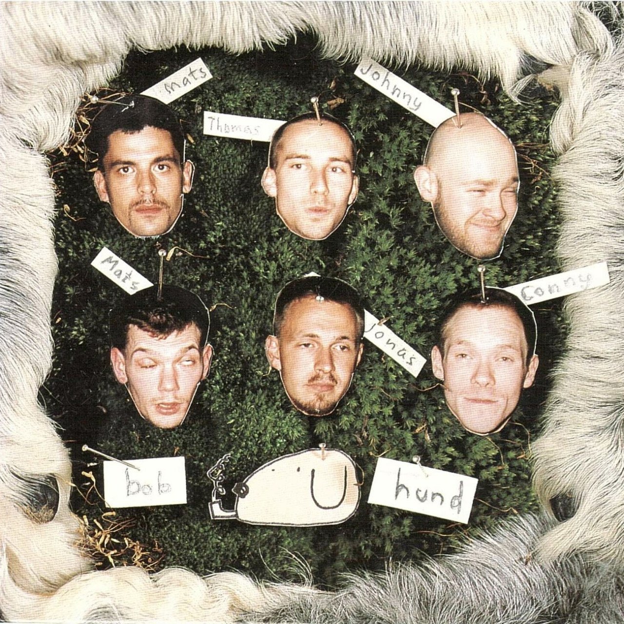 Den ensamme sjömannens födelsedag