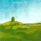 När lingonen mognar