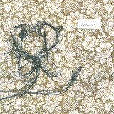 We Thought We Were Ghosts, but We Are Feathers