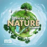 Into the Woods (Reduced)