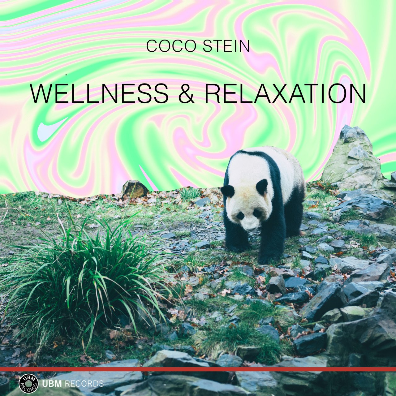 School Of Whales (Full)