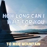 How Long Can I Wait For You
