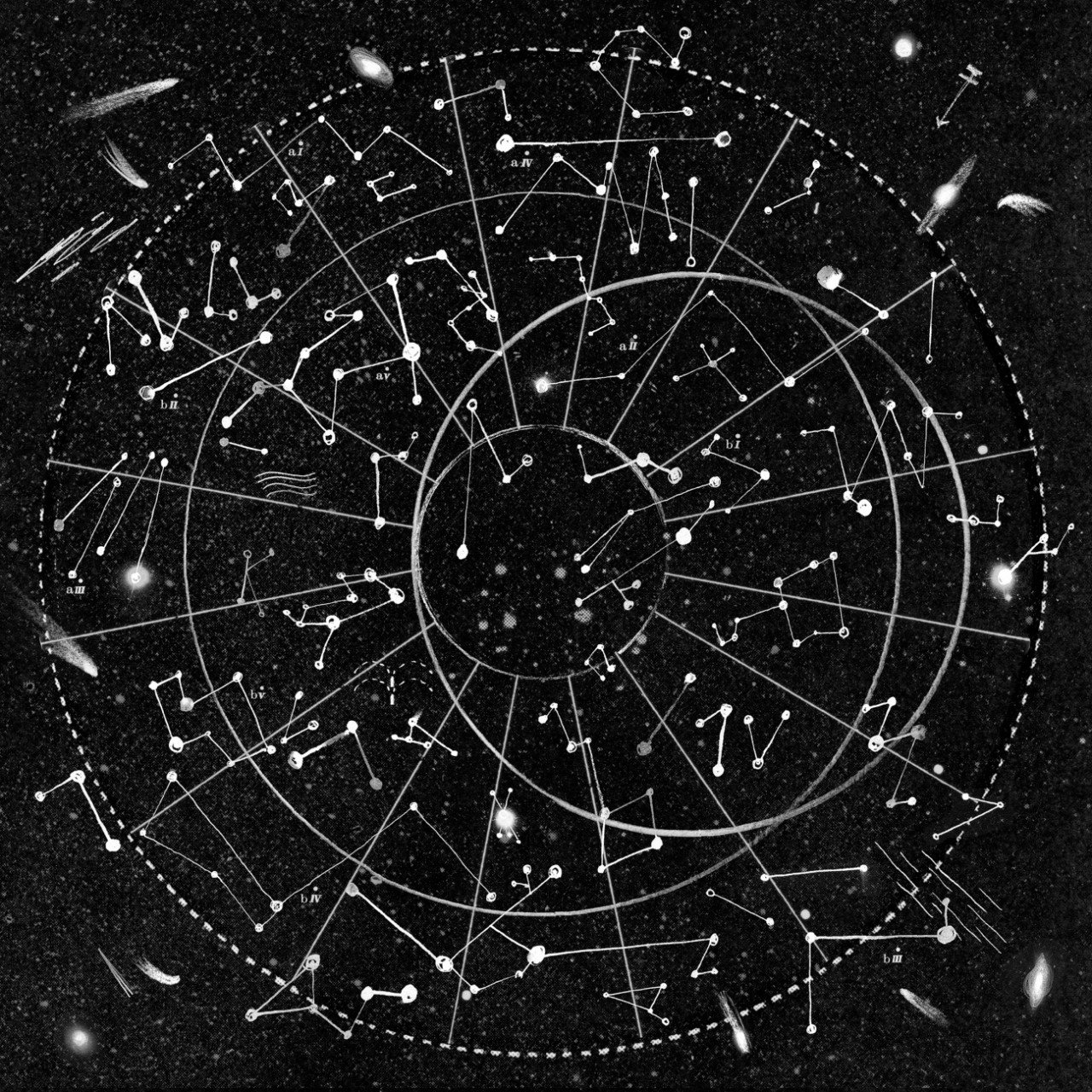 Tiger Dreaming in High Grass