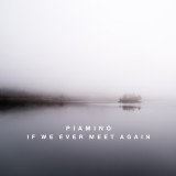 If We Ever Meet Again