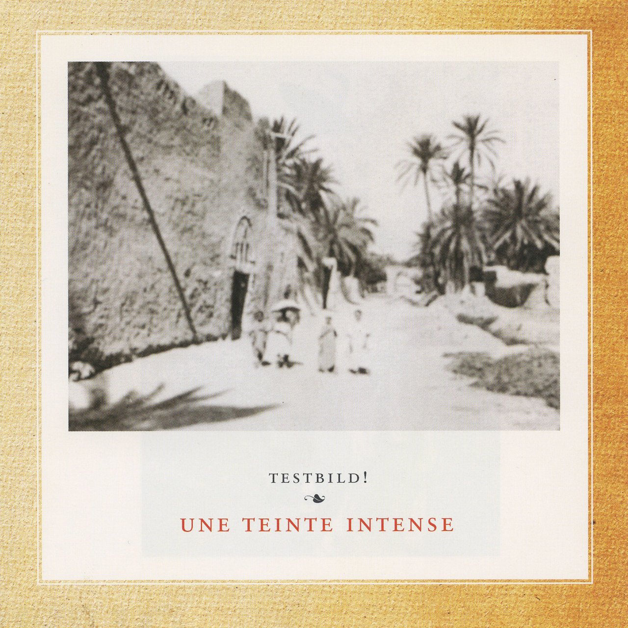 Le vent du desert tarit mes yeux humides