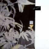 Shampoo Nightclubbing