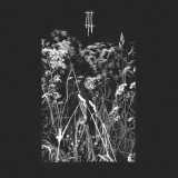 Faller jag för dig