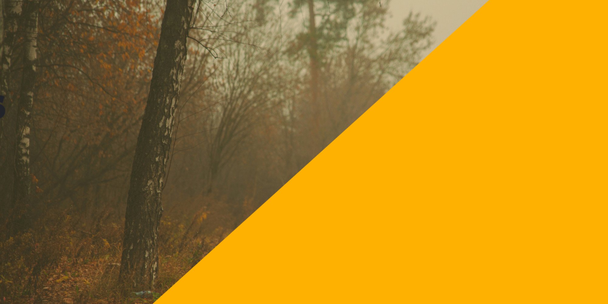 Fall Vibes: Mellow, Laid-Back Music